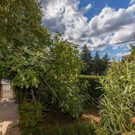 Appartement Ilija Njavro *